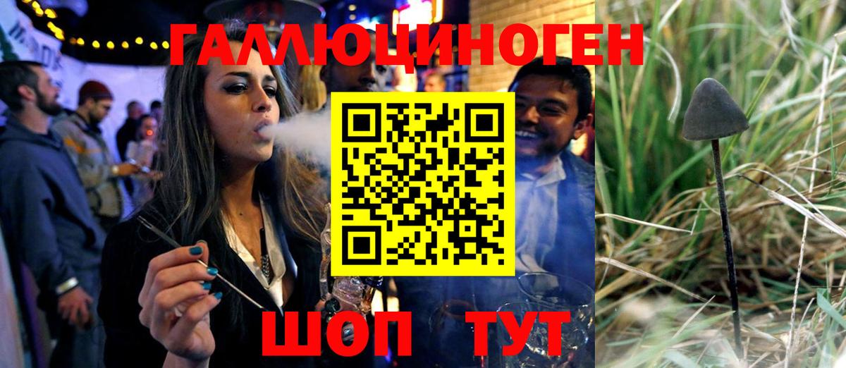 Псилоцибиновые грибы мухоморы Благовещенск