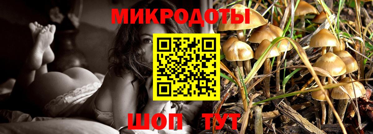 Псилоцибиновые грибы Magic Shrooms  где купить наркотик  Благовещенск  Вход с VPN  Галлюциногенные грибы Magic Shrooms 